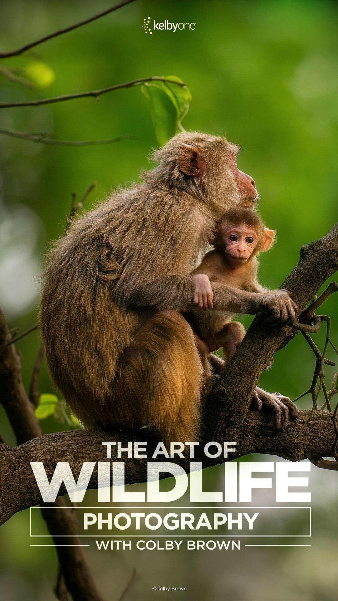 Nature & Science Nature & Science
